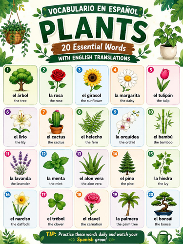 Spanish Plants Vocabulary Poster | 20 Illustrated Words with English Translations