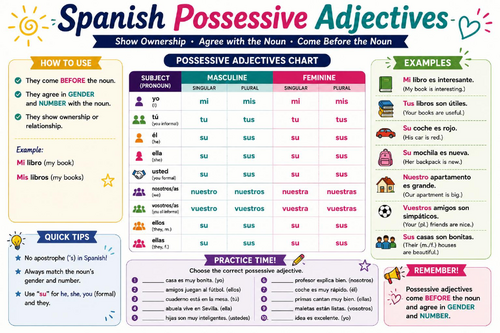 Spanish Possessive Adjectives Chart | Mi, Tu, Su, Nuestro & Vuestro