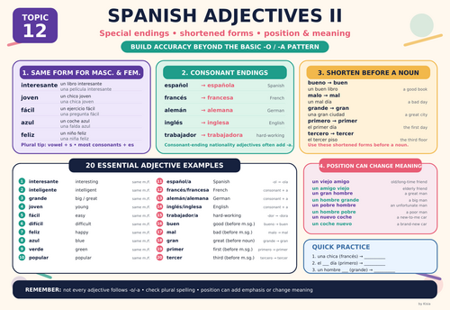 Spanish Adjectives II Poster | Special Endings, Position, Shortened Forms & 20 Examples