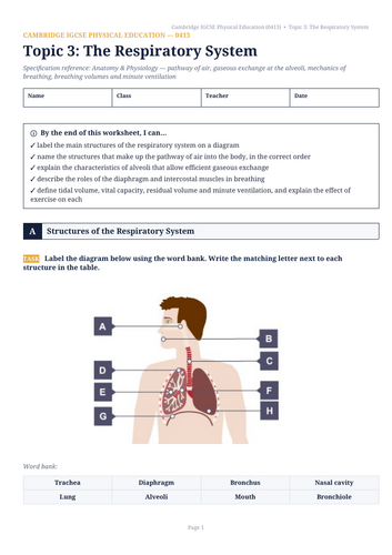 Cambridge IGCSE PE (0413) Topic 3: The Respiratory System Workbook & Teacher Mark Scheme
