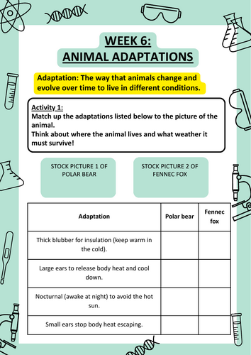 Animal Adaptations