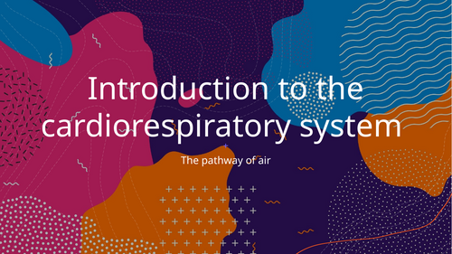 GCSE PE - Lesson 6 - Cardiorespiratory system
