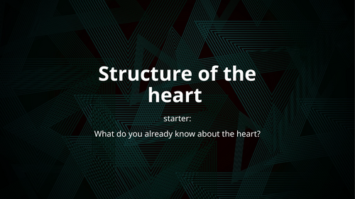 GCSE PE - Structure of the heart