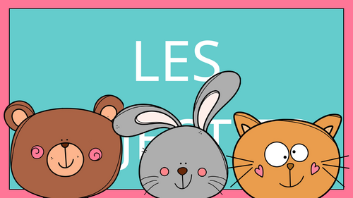 French Classroom display- Les adjectifs