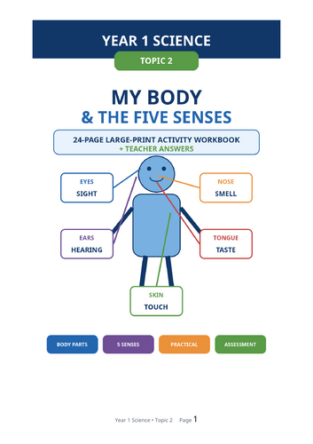 Year 1 Science | My Body and the Five Senses | 24-Page Workbook + 45-Slide PowerPoint Bundle
