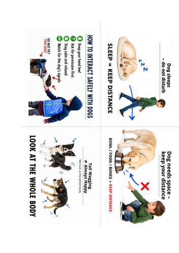 Dog Body Language & Safe Interaction with Dogs | Visual Cards for Kids