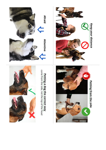 Dog Body Language & Safe Interaction Cards | 56 Visual Cards for Kids