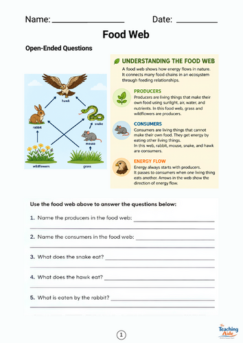 Food Webs & Energy Flow | Producers, Consumers & Decomposers | Worksheets & Crossword