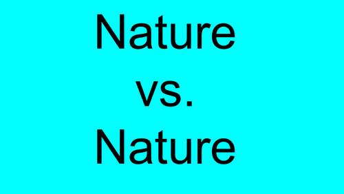Nurture Discussions