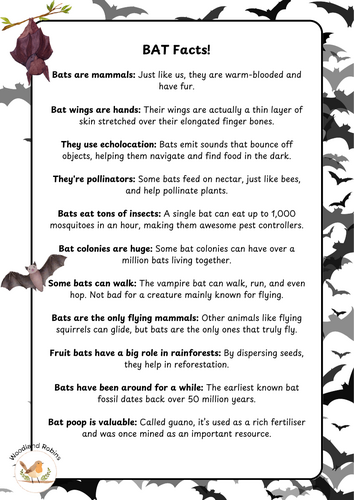 Bat_Facts