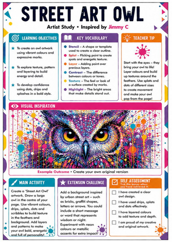 Jimmy C Inspired Street Art Owl Worksheet | Colour, Texture & Pattern | KS3 Art