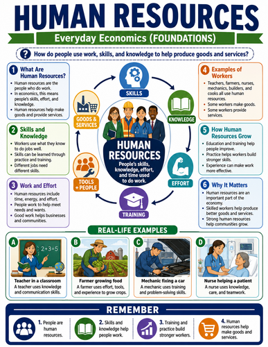 Human Resources I Global Society I Infographic