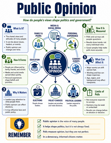 Public Opinion I Infographic