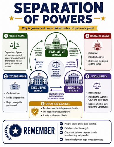 Separation of Powers I Infographic