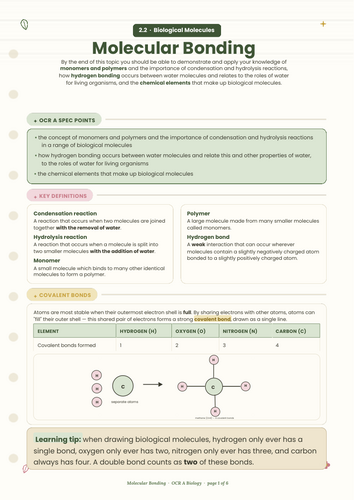 High‑Quality OCR A Biology Notes: Molecular Bonding & Biological Molecules