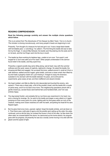 11+ MCQ Reading Comprehension TOM SAWYER