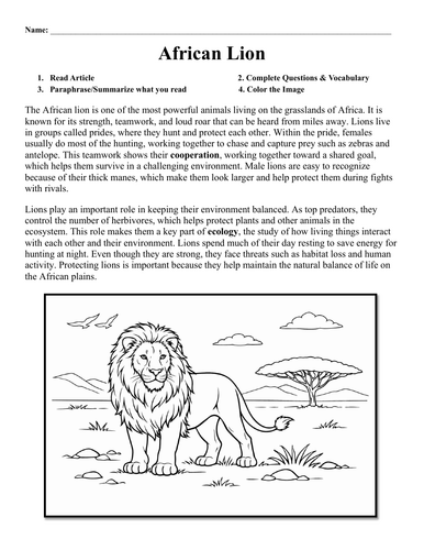 African Lion Worksheet