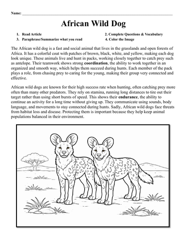 African Wild Dog Worksheet