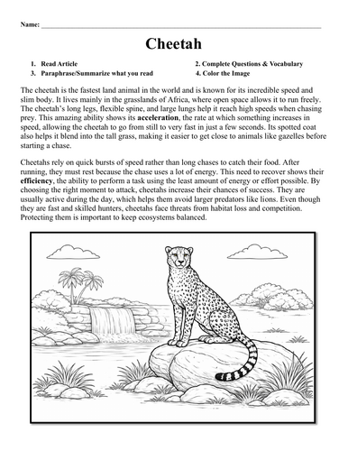 Cheetah Worksheet