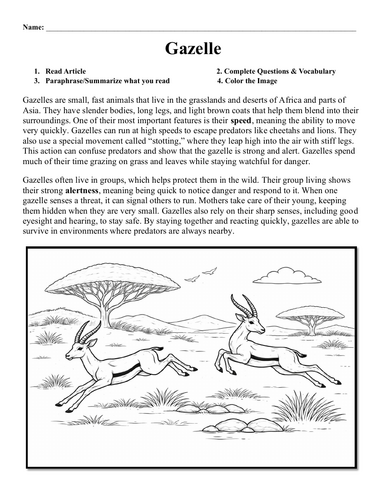 Gazelle Worksheet