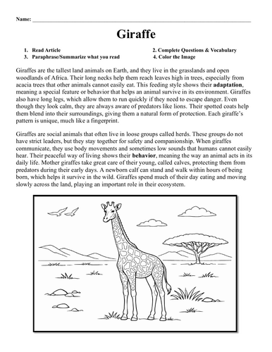 Giraffe Worksheet