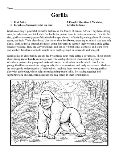 Gorilla Worksheet