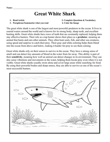 Great White Shark Worksheet