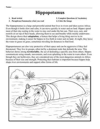 Hippopotamus Worksheet