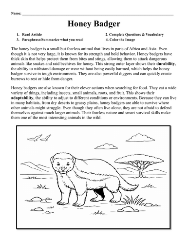 Honey Badger Worksheet