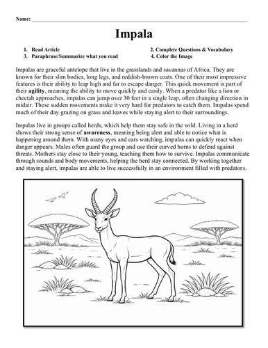 Impala Worksheet