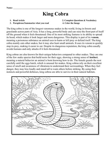 King Cobra Worksheet