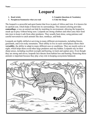 Leopard Worksheet