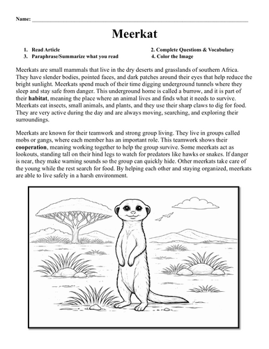 Meerkat Worksheet