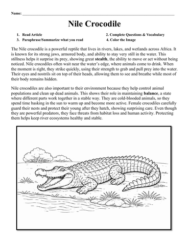 Nile Crocodile Worksheet