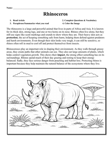 Rhinoceros Worksheet