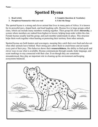 Spotted Hyena Worksheet