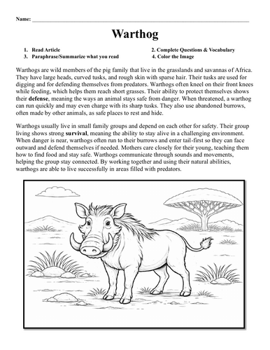 Warthog Worksheet