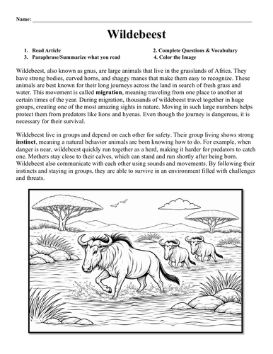 Wildebeest Worksheet