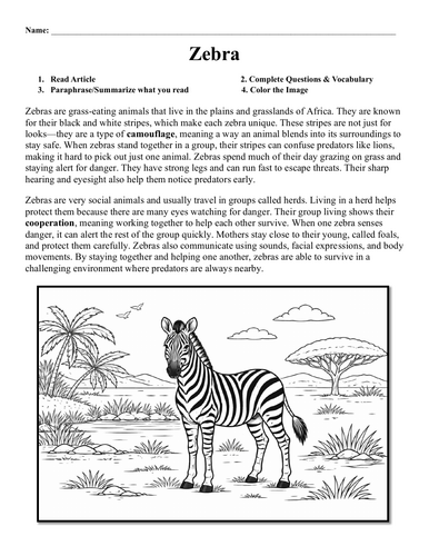 Zebra Worksheet