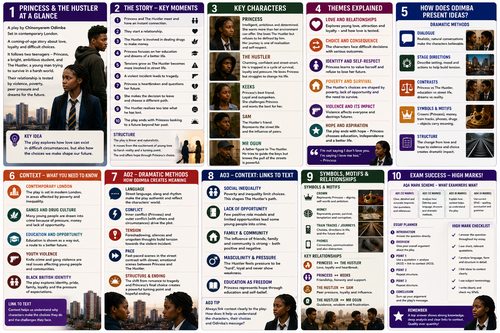 The Princess and the Hustler (UDL Revision Poster Pack)