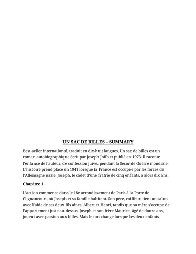 Un Sac de Billes Summary