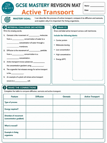 NEW WJEC (2026) GCSE Science - Active Transport Revision Mat