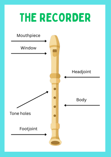 Recorder & Clarinet Body Part Names