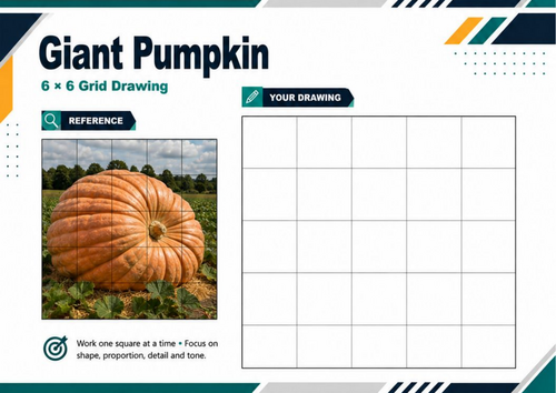 Giant Pumpkin Grid Drawing Worksheet | Autumn Art Drawing Challenge | KS3 KS4