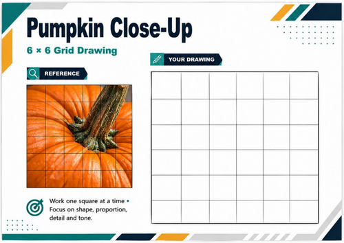 Pumpkin Close-Up Grid Drawing Worksheet | Texture & Detail Art Activity | KS3 KS4
