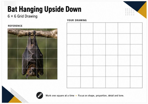 Bat Hanging Upside Down Grid Drawing Worksheet | KS3 KS4 Art