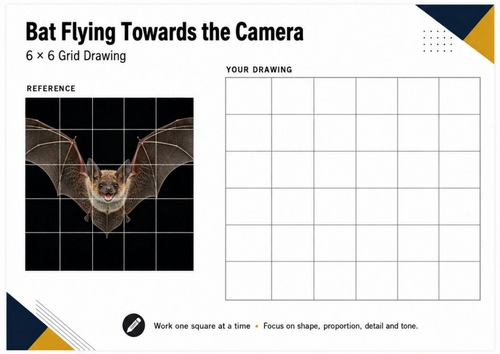 Bat Flying Towards the Camera Grid Drawing Worksheet | KS3 KS4 Art