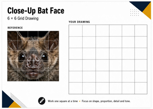 Close-Up Bat Face Grid Drawing Worksheet | Animal Drawing KS3 KS4