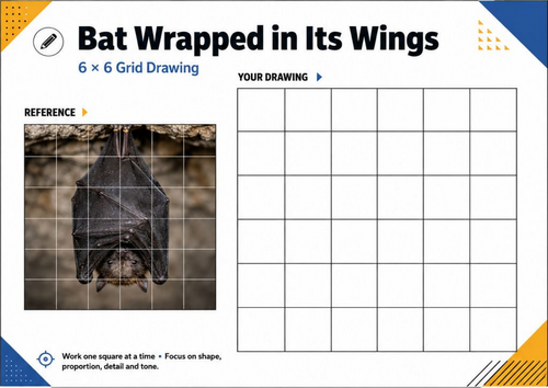 Bat Wrapped in Its Wings Grid Drawing Worksheet | KS3 Halloween Art