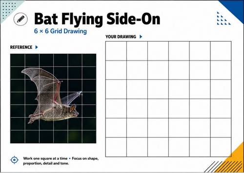 Bat Flying Side-On Grid Drawing Worksheet | KS3 Animal Drawing